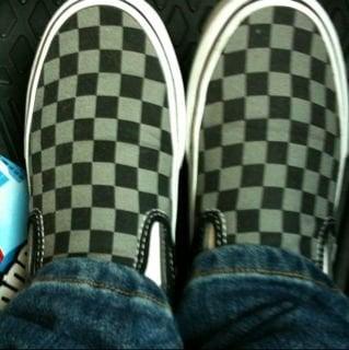 photo of Checkers D.