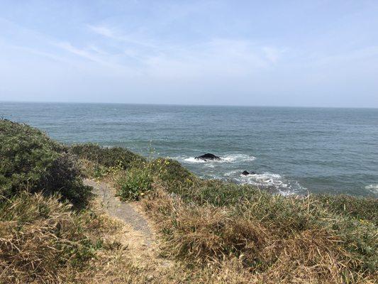 photo of Michelle D.