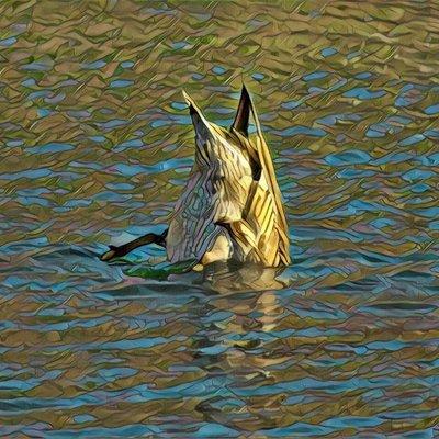 Photo of Michelle B.