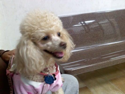 Photo of Zelda L.