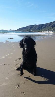 photo of Kathryne D.