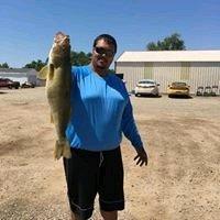 Photo of Andy P.