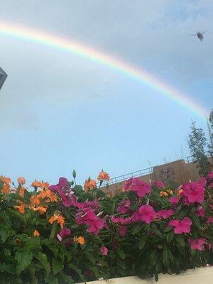 photo of PositiveReviews R.