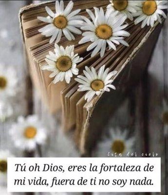 photo of Florinda R.