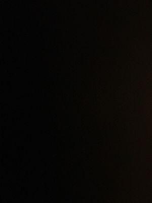 Photo of Brooklyn S.