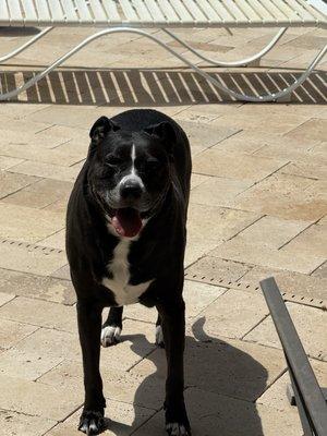 photo of Brittany B.