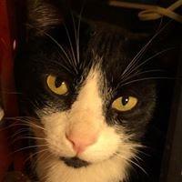 Photo of Dcat B.