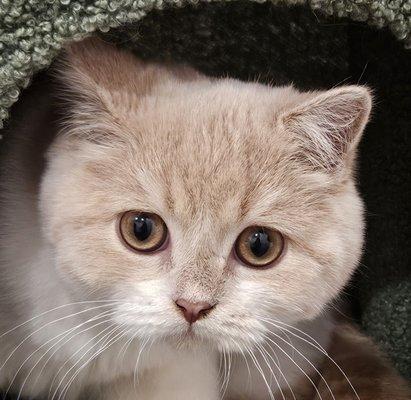 photo of Christie L.