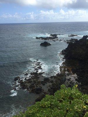 photo of Victoria M.