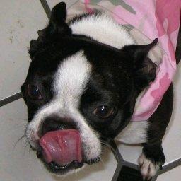 photo of Joseph M. M.