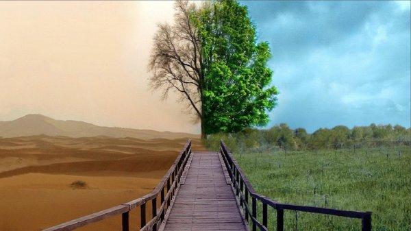 photo of Victoria L.