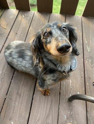 photo of Annmarie M.