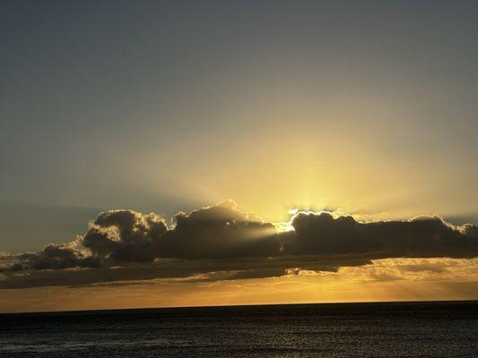 photo of Patricia S.