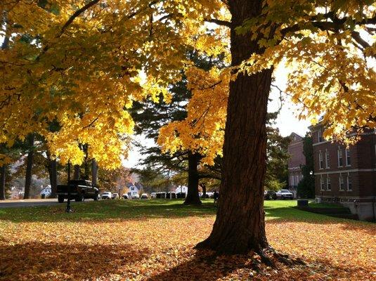 photo of Stephanie C.