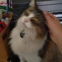 photo of Samantha L.