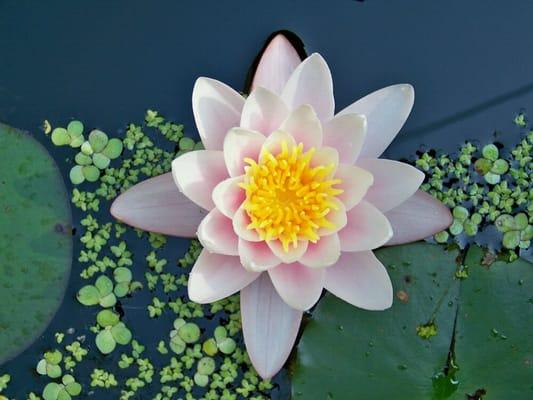 photo of Kathleen G.