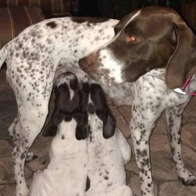 photo of Elizabeth A.