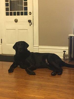 photo of Christine S.