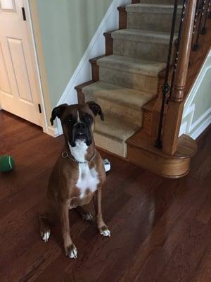 Photo of Jeanette W.