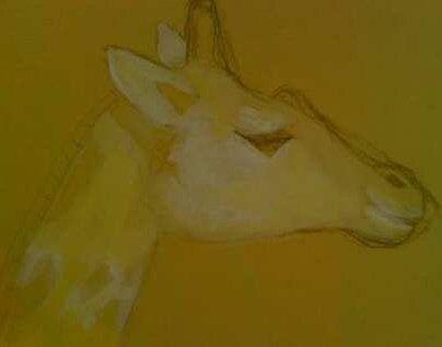 photo of Gabriela K.