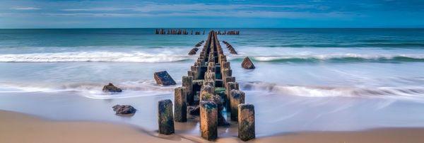 photo of Michelle C.