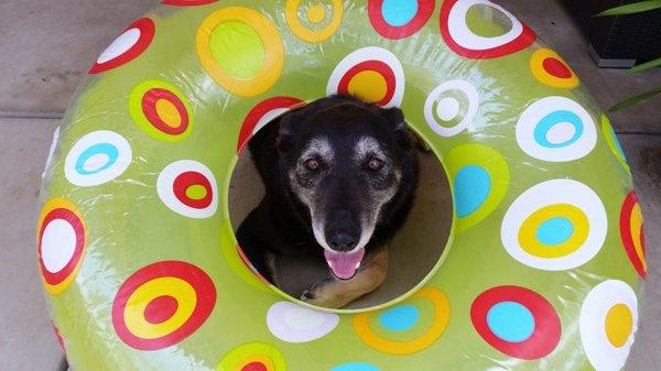 photo of Jennifer W.