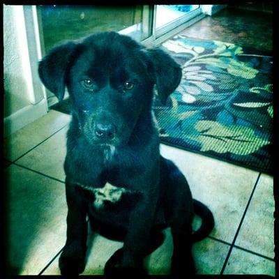 photo of Mistletoe T.