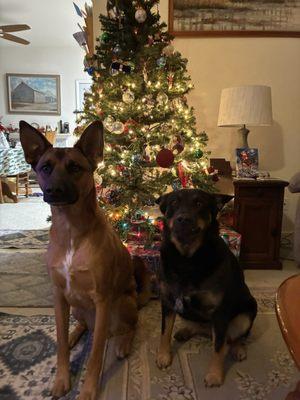 photo of Christina W.