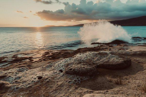 photo of Dong Wook C.