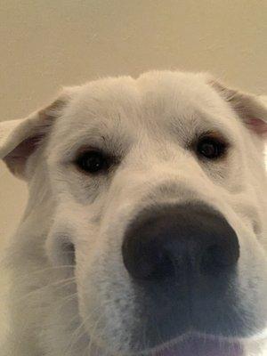 photo of Cheyenne H.