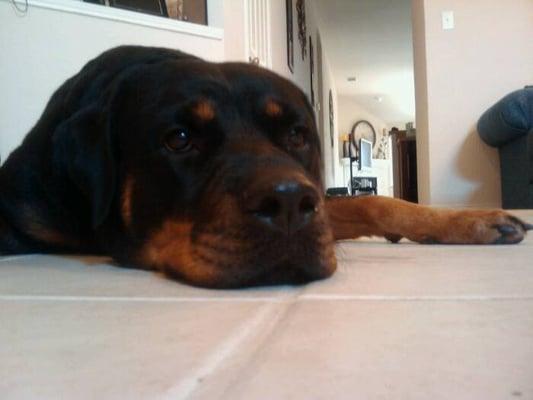 Photo of Heavy P.