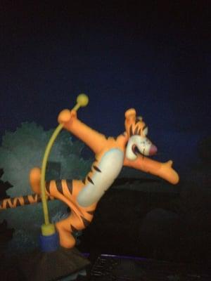 photo of Patricia G.