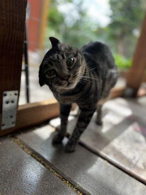 photo of Tabbitha M.