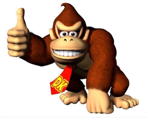 Photo of Donkey K.