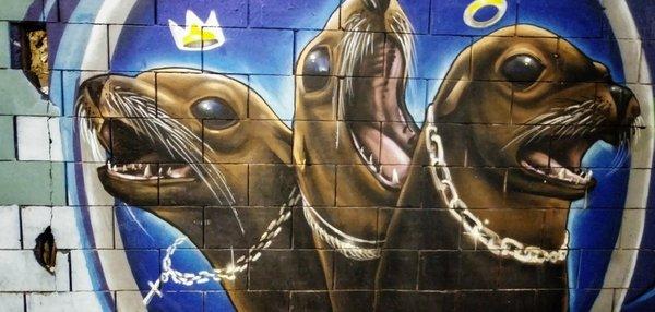 photo of Santorio S.