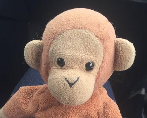 Photo of Bongito C.