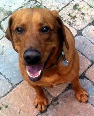 Photo of Jeremiah B.