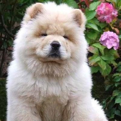 Photo of Executive D.