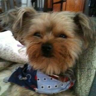 photo of Danielle C.