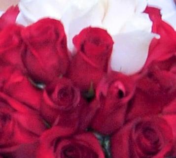 photo of Christina M.