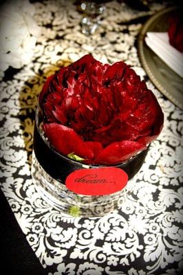 Photo of Soraya R.