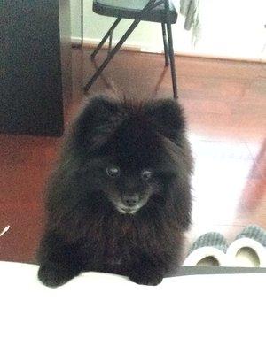 photo of Christine T.