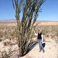 Photo of Sue G.