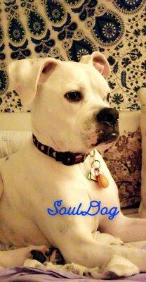 photo of Danielle M.