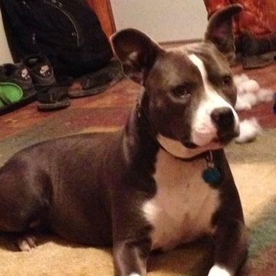 photo of Savannah G.