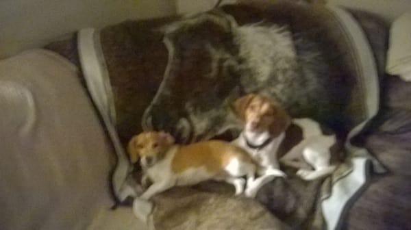 photo of Kristian A.