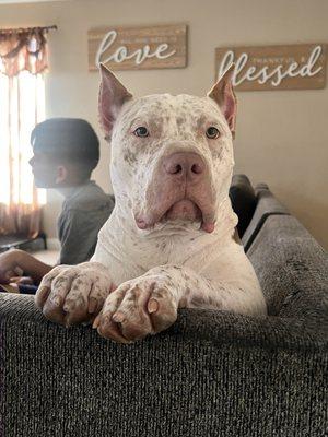 photo of Lisa Elizabeth M.