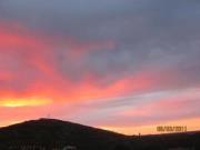 photo of C.A. Ferreira T.