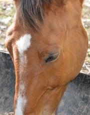 photo of Restaurant M.