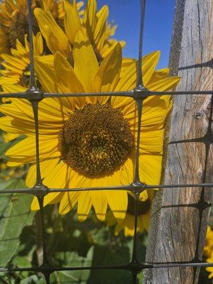 photo of Veronica M.